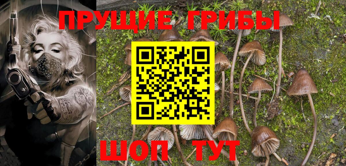 Галлюциногенные грибы Psilocybine cubensis  Вход с VPN  Бахчисарай 